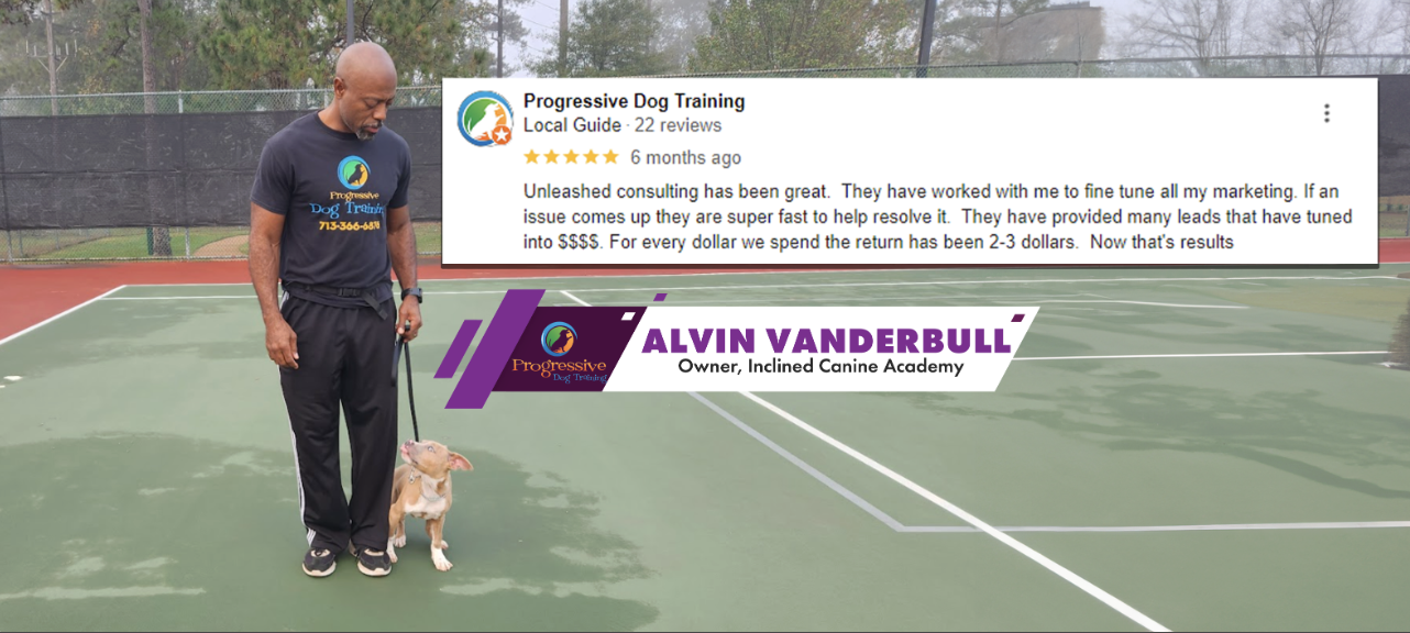 Five-star Google review from Alvin Vanderbull praising Unleashed Consulting