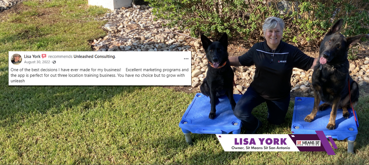 Five-star Google review from Lisa York praising Unleashed Consulting