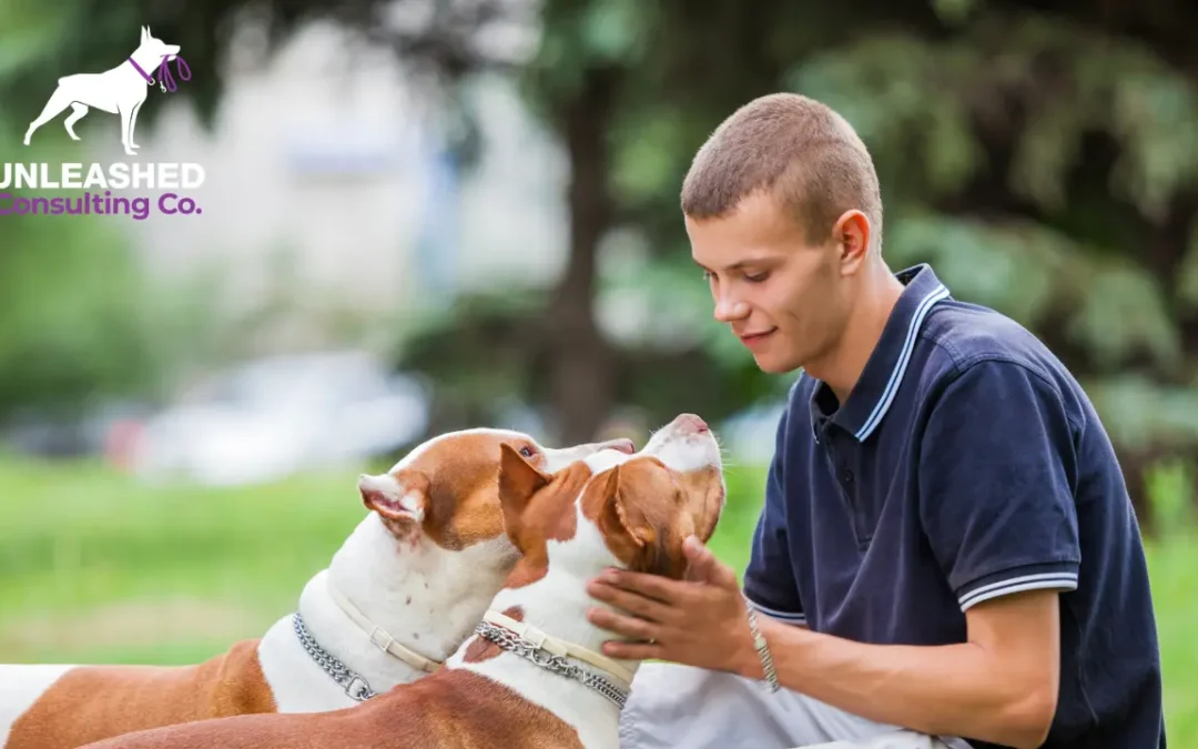 How to Create a Digital Marketing Strategy for Dog Trainers