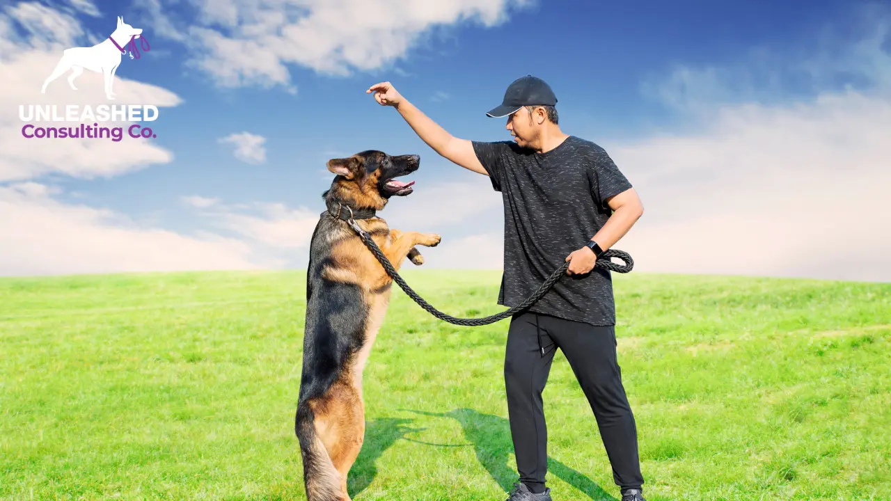 Effective Marketing Secrets for Dog Trainers Revealed