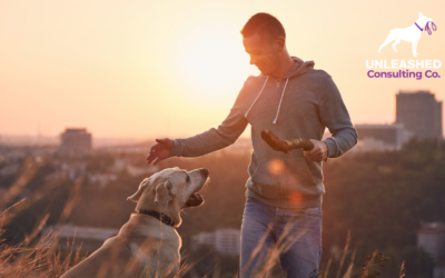 Capture Local Dog Owners with Dog Training Near Me Marketing