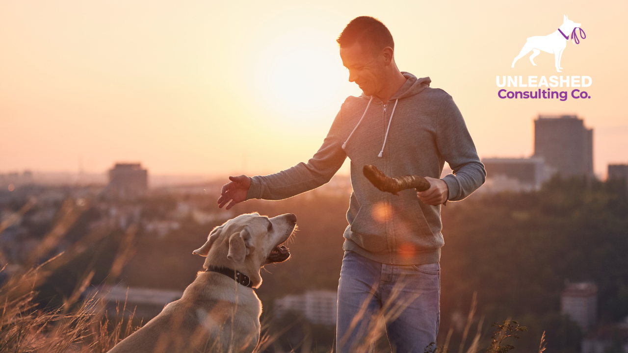 Capture Local Dog Owners with Dog Training Near Me Marketing