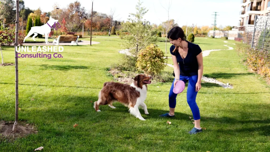 Close-up of a dog trainer using positive reinforcement techniques with an aggressive dog.