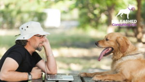 A dog training session in action, featuring a trainer working with multiple dogs to illustrate effective training methods