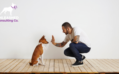 Why Dog Trainers Need Social Media Marketing