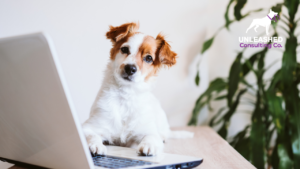 An array of dog treats and toys, symbolizing content ideas focused on product reviews and recommendations for pet owners.