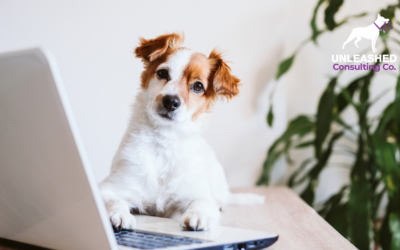 The Ultimate Guide to Google Ads for Dog Training