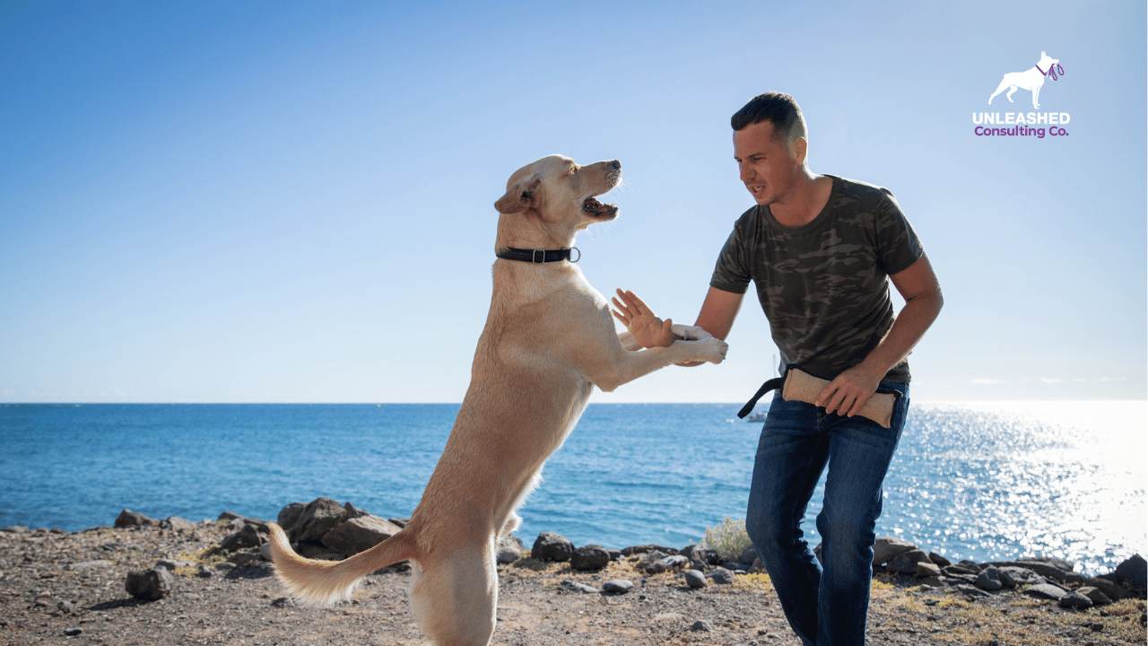 Pet photographer capturing a dog’s portrait with professional lighting setup