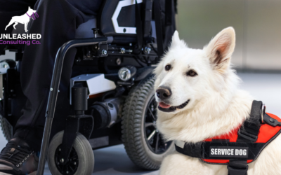 10 Effective Marketing Strategies for Service Dog Training