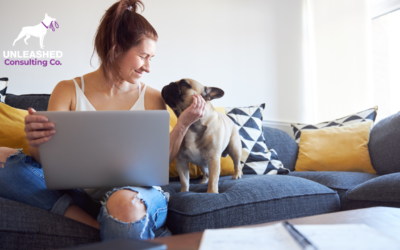 Your Ultimate Guide to Pet Business Consulting