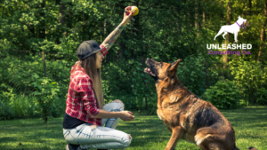 A dog responding to a whistle command, representing advanced training methods