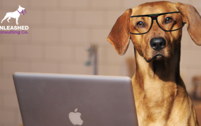 10 Benefits of Dog Marketing Apps for Pet Service Businesses