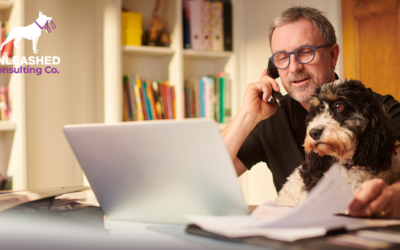 30 Pet Business Ideas for Aspiring Pet Entrepreneurs