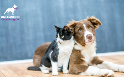 How To Start a Pet Care Business in 10 Steps