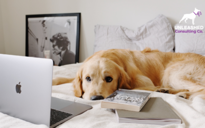 8 Ways on How to Launch a Successful Pet Marketing Campaign