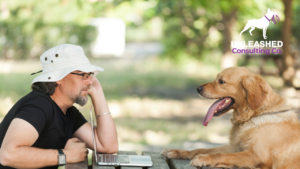 Outdoor Dog Training Session with Dog Trainer and Pet Owner