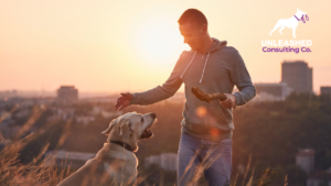 Dog Trainer Conducting Advanced Dog Behavior Training