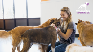 Dog Trainer Demonstrating Positive Reinforcement Techniques 