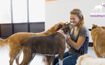 10 Must-Have Strategies for Your Pet Daycare Business Plan