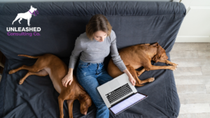 Dog trainer brainstorming New Year marketing tactics to boost business growth