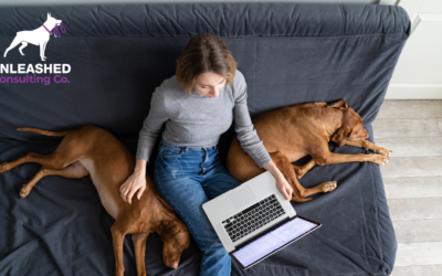 Email Marketing Tips for Dog Trainer Success