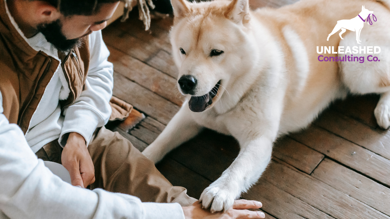 Top 5 New Year Marketing Strategies for Dog Trainers