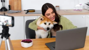 A dog trainer updating their website, emphasizing the role of digital platforms in reaching new clients