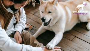 A professional dog trainer holding a leash, illustrating how websites can showcase expertise and attract more clients.