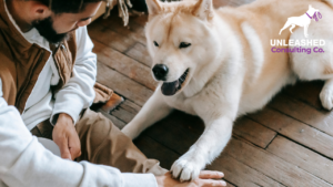 Dog trainer shaking hands with a client after a successful lead generation strategy