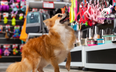 How To Create a Pet Store Business Plan