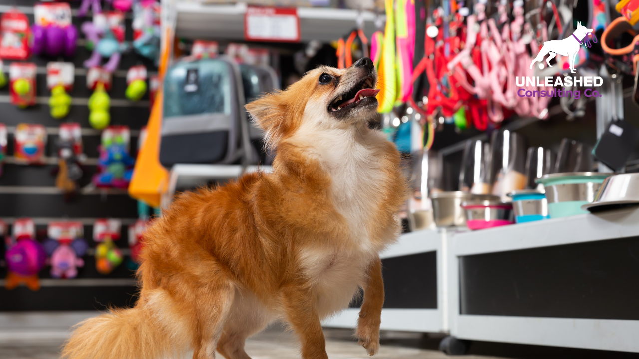 How To Create a Pet Store Business Plan