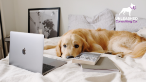 A dog trainer reviewing PPC ad performance metrics on a laptop screen