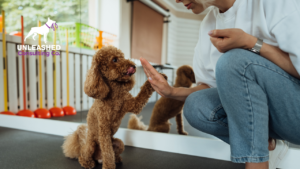 Dog trainer working with a Golden Retriever, text: "5 Ways Google Ads Can Grow Your Business