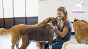 A satisfied pet owner picking up their freshly groomed dog from a pet salon