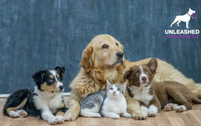 10 Simple Steps to Start Your Own Pet Sitting Business