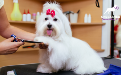 A Complete Guide On How to Start a Pet Grooming Business