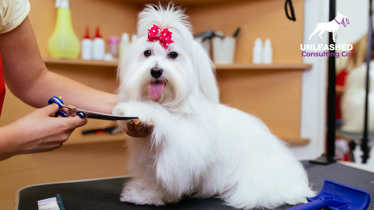 A Complete Guide On How to Start a Pet Grooming Business