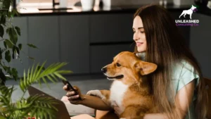 A pet business owner welcoming dogs